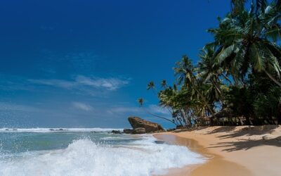 îles tropicales