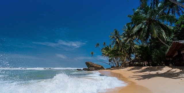 îles tropicales