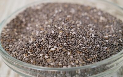 aliment riche en proteine