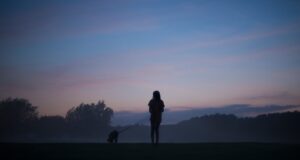 silhouette d'une personne debout tenant un chien