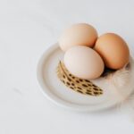 Optimiser la ponte des œufs : alimentation et soins