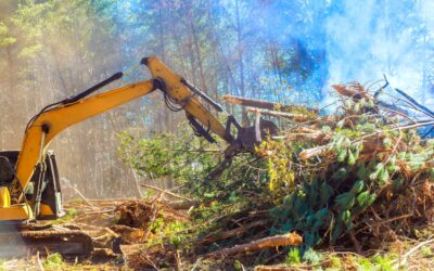 fabricant-debusqueur