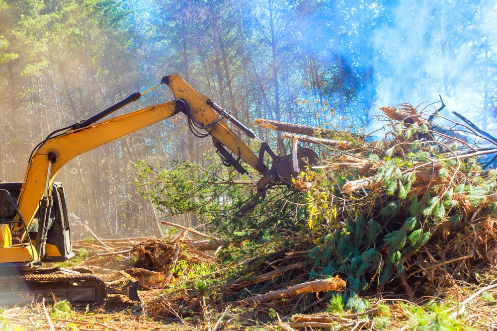 fabricant-debusqueur