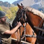 Matériel animaux guide choix erreurs conseils experts