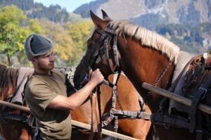 Matériel animaux guide choix erreurs conseils experts