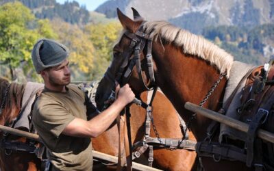 Matériel animaux guide choix erreurs conseils experts