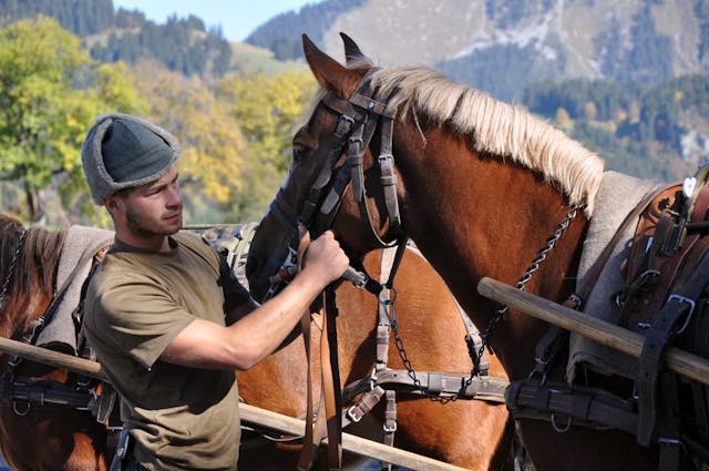 Matériel animaux guide choix erreurs conseils experts