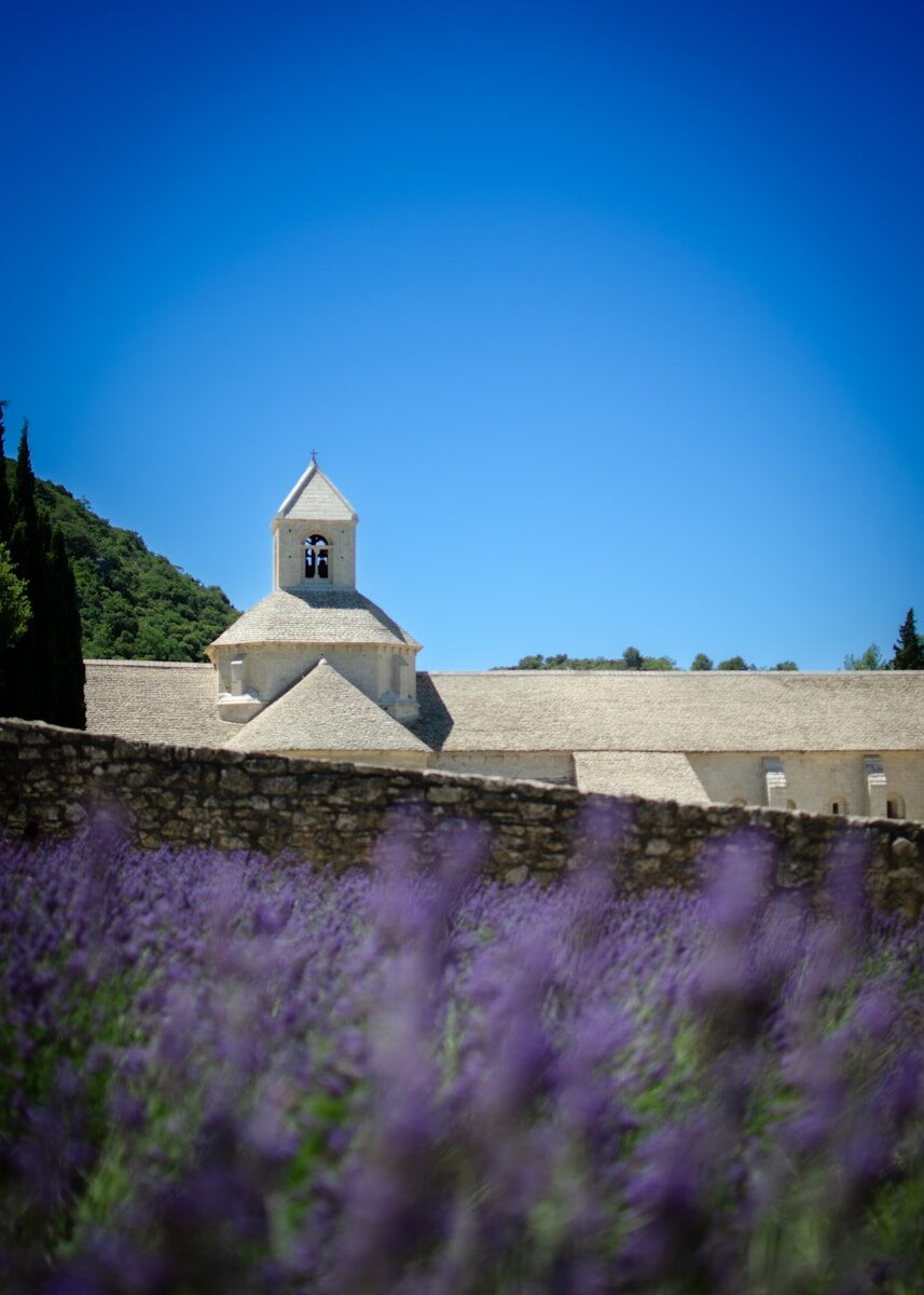 Découvrir l’âme du Sud à travers ses produits et ses rencontres
