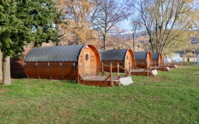 Chalet Puy du Fou : un séjour unique en Vendée